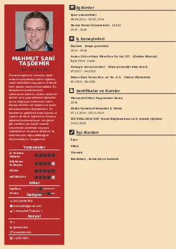 Gıda Mühendisi CV Örnekleri cv indir